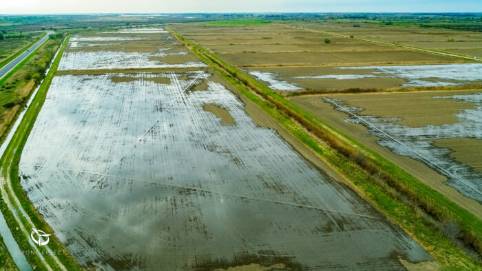 société de drone en Camargue