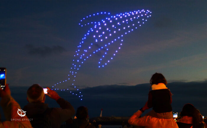 Spectacle de drones avec une baleine lumineuse formée par 200 drones devant un public émerveillé