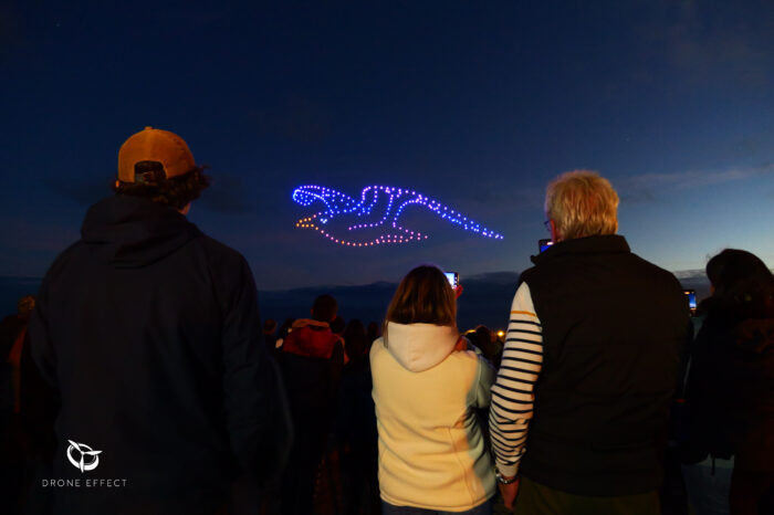 Spectacle hybride combinant 400 drones formant le logo 50 et un feu d’artifice en arrière-plan